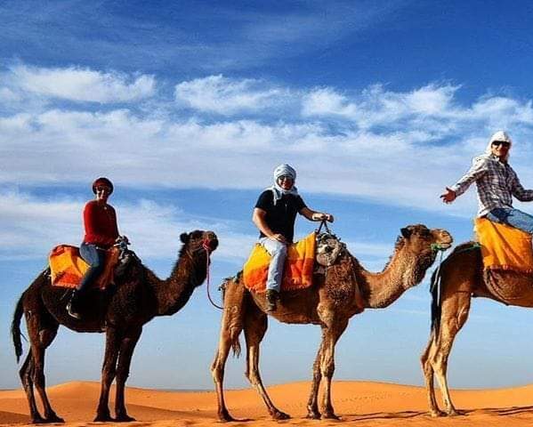 camel trekking in desert