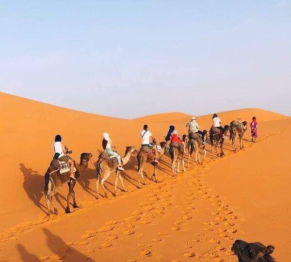 8 days Desert tour from Fez to Merzouga