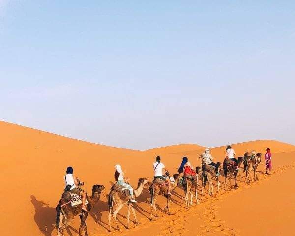 desert camel trekking