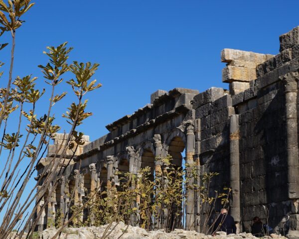 volubilis