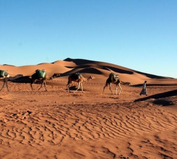 zagora